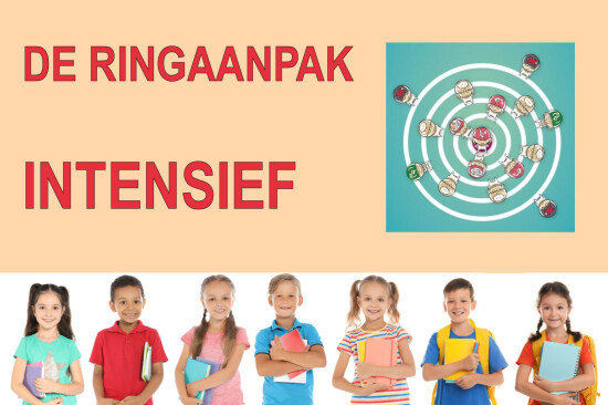 Ringaanpak INTENSIEF