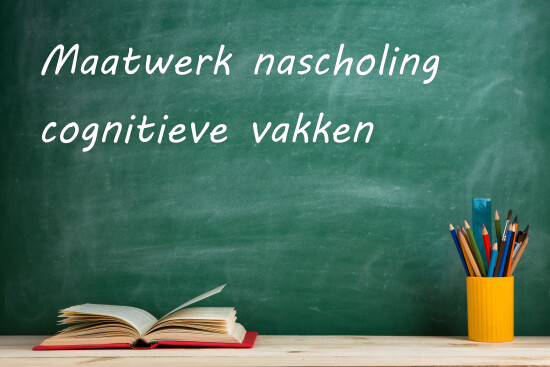 08 Maatwerk nascholing RE